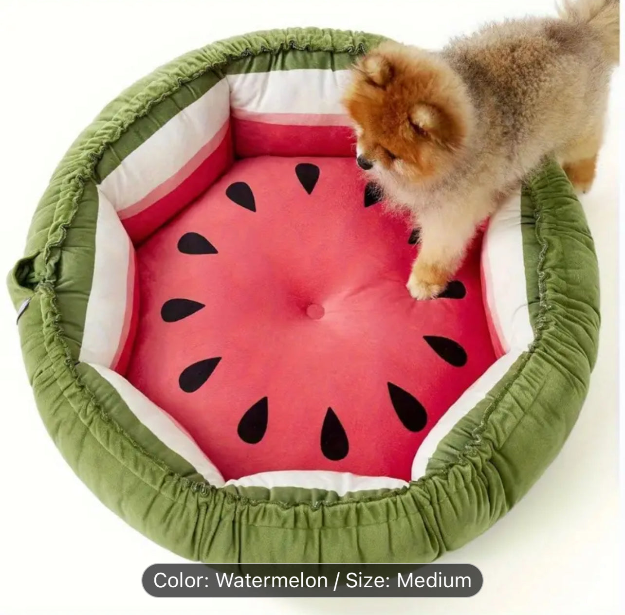 Donut dual purpose Pet Bed / Mat