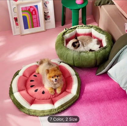 Donut dual purpose Pet Bed / Mat