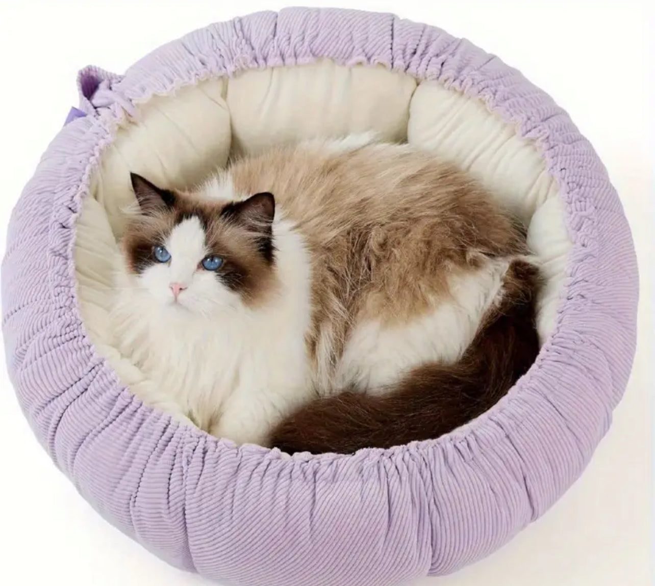 Donut dual purpose Pet Bed / Mat