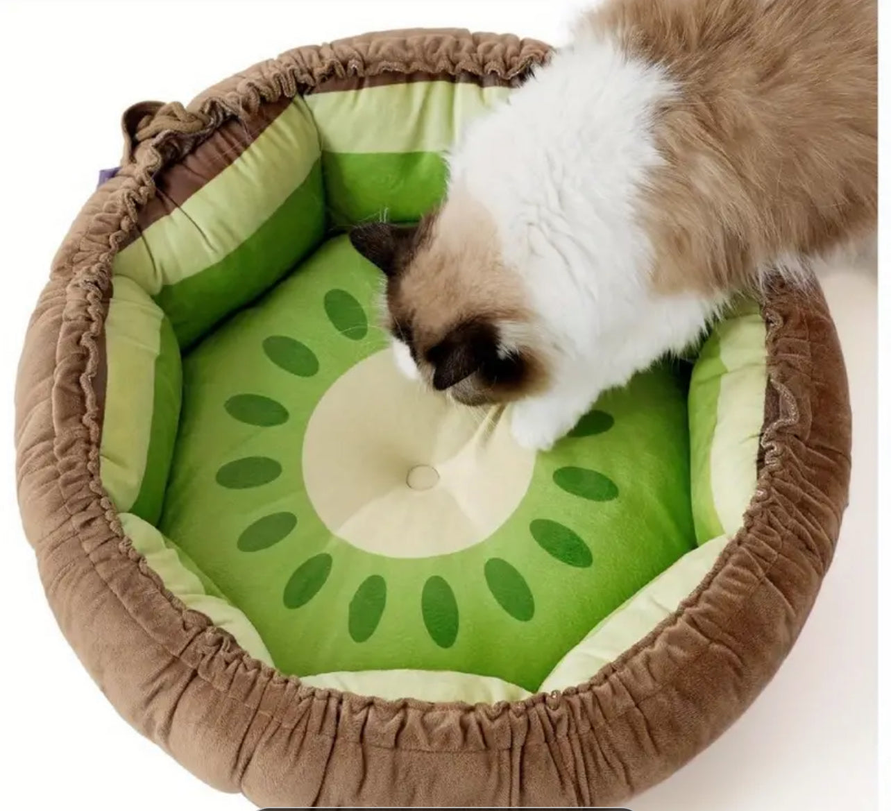 Donut dual purpose Pet Bed / Mat